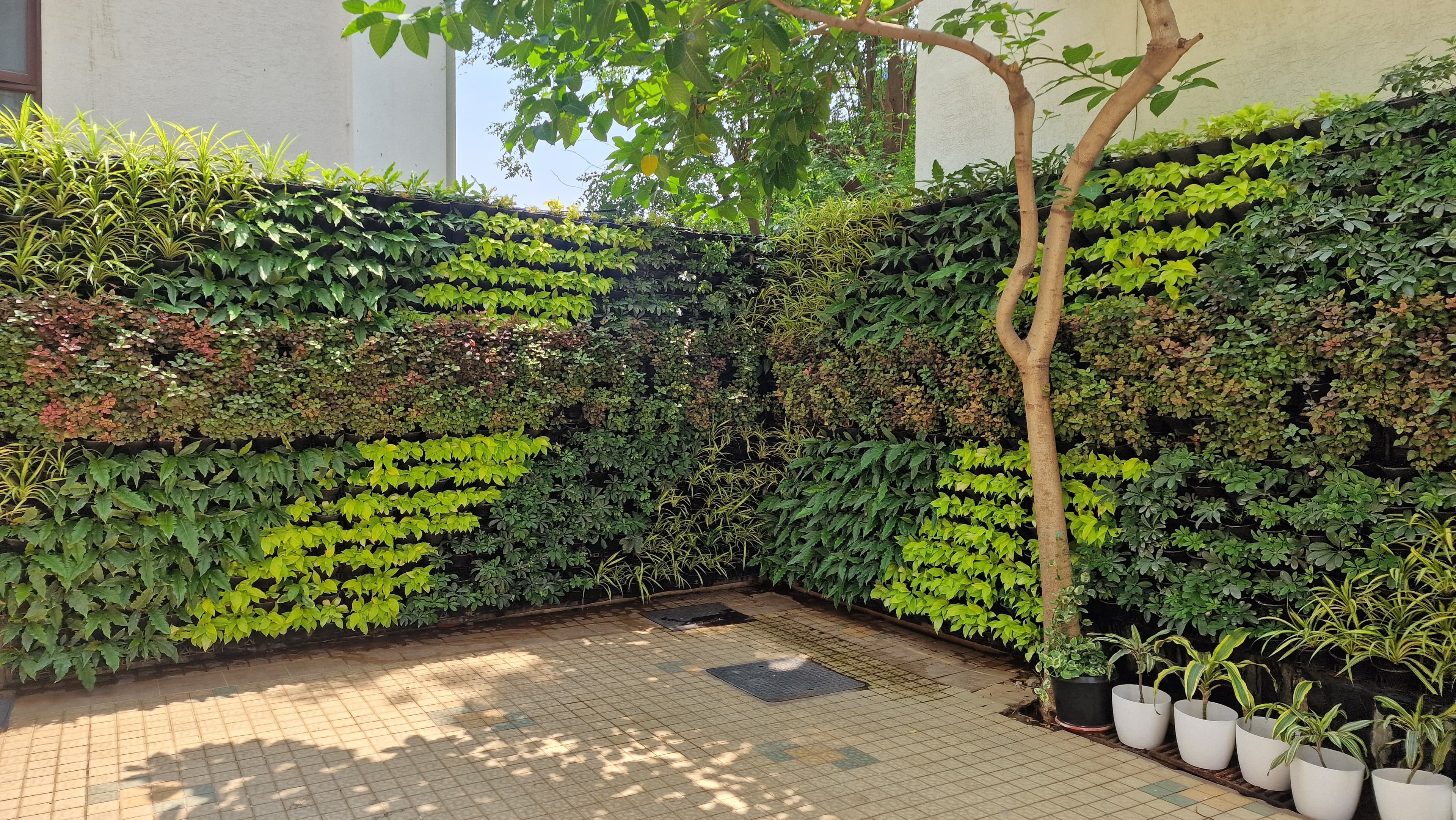 Sustainable Urban Landscaping